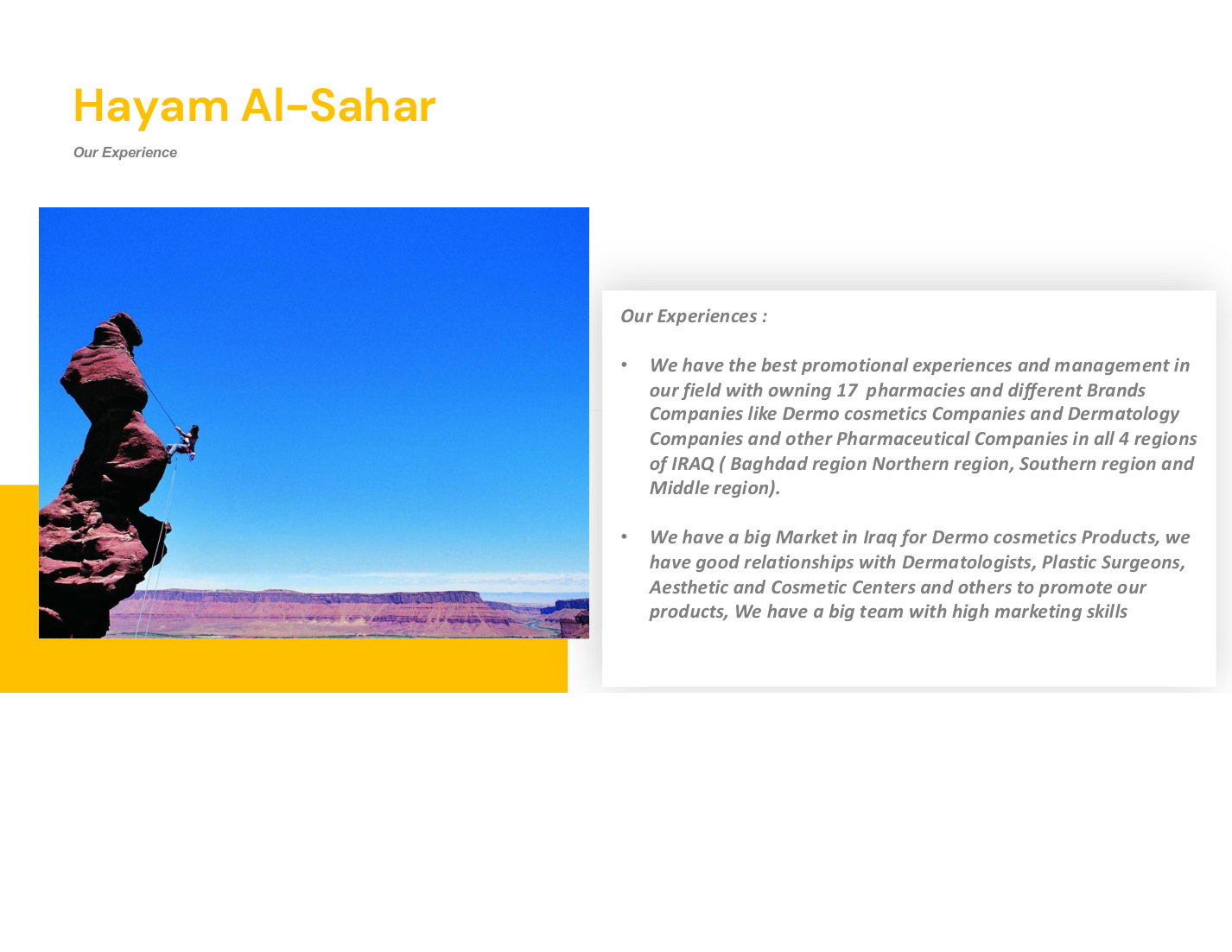 Hayam Group experience page from PDF